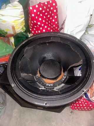 Altavoz JBL 2033H 15 pulgadas 8 Ohms