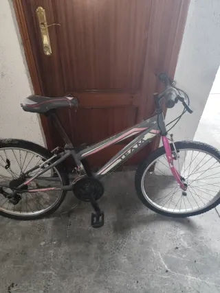 Bicicleta infantil talla media