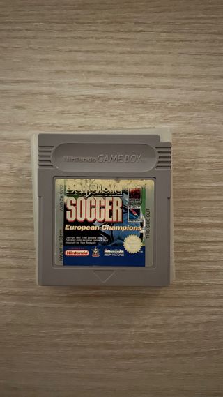 Soccer European Champions Game Boy