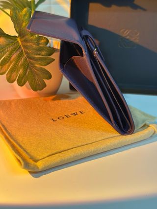 Cartera Loewe Morada