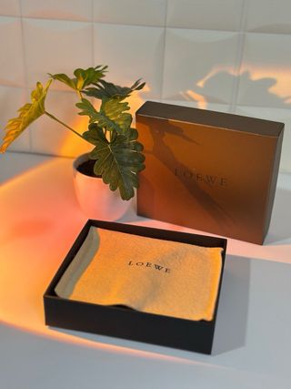 Cartera Loewe Morada