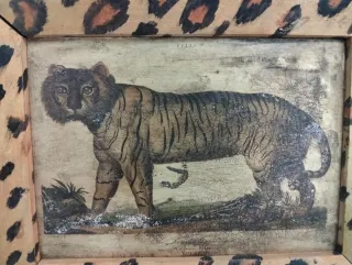 Cuadro Vintage Tigre con Marco Animal Print