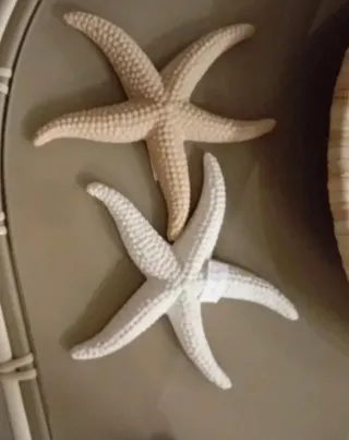 2 Estrellas de Mar Decorativas Hechas a Mano