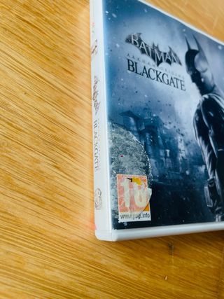 Batman Arkham Origins Blackgate 3DS Español