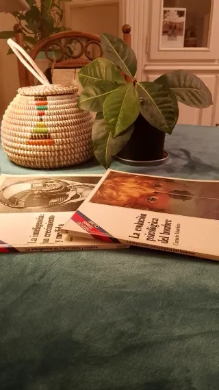 La Evolución Psicológica Del Hombre