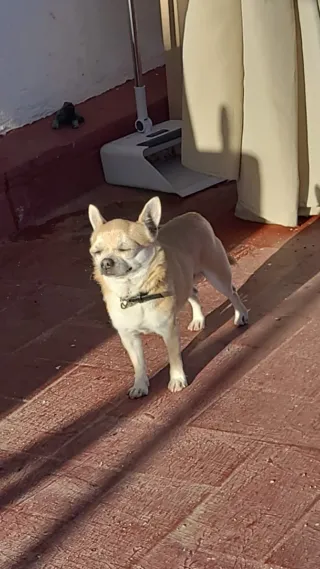 Limpiadora  en horario de noche  a 25€ la hora