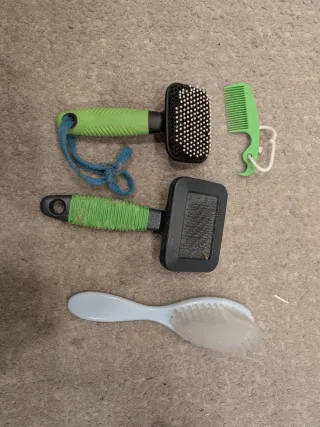 Jaula para roedores + Accesorios