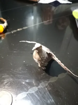 Monedas antiguas varias