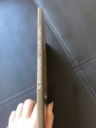 Libro ‘Il Buddhismo vintage’