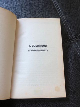 Libro ‘Il Buddhismo vintage’