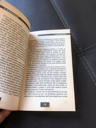 Libro ‘Il Buddhismo vintage’