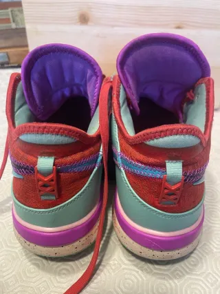 Scarpe Nike Lebron Rosse e Azzurre