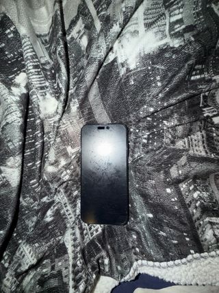 iPhone 16 Pro Max 256 GB Negro