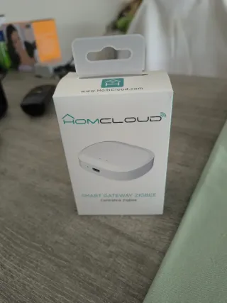 Homcloud Smart Gateway Zigbee Centralina