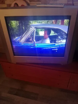 TV Sony Trinitron 28 pulgadas color gris