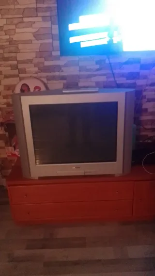 TV Sony Trinitron 28 pulgadas color gris