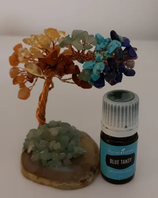 Vendo óleo essencial Blue Tansy 5ml da YL