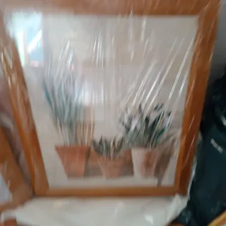 2 Quadri Moderni con Fiori