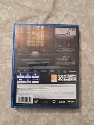 Hogwarts Legacy PS4 (PlayStation 4)