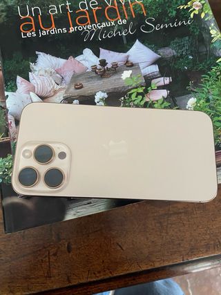 iPhone 16 Pro Max 256 GB