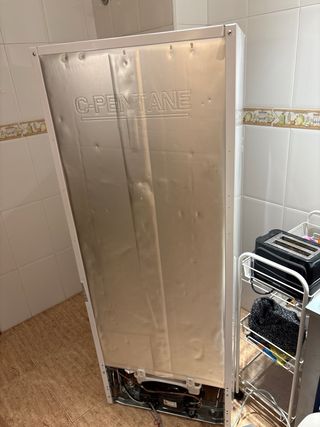 Nevera pequeña blanca ICE COOL