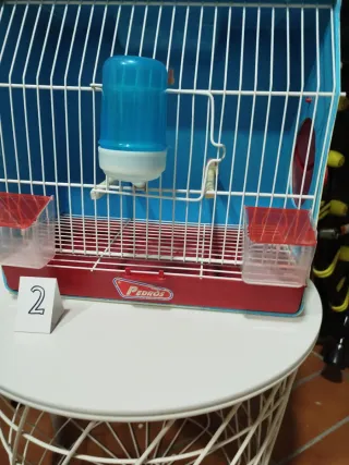 Jaula Pedro's exposición azul y roja