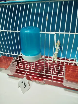 Jaula Pedro's exposición azul y roja