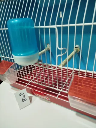 Jaula Pedro's exposición azul y roja