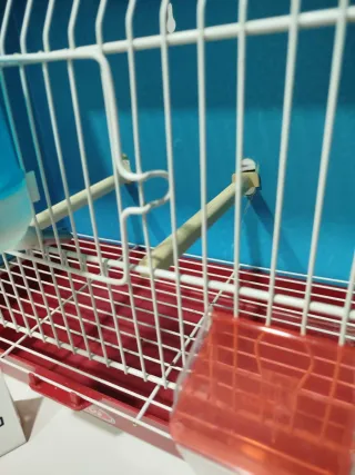 Jaula Pedro's exposición azul y roja