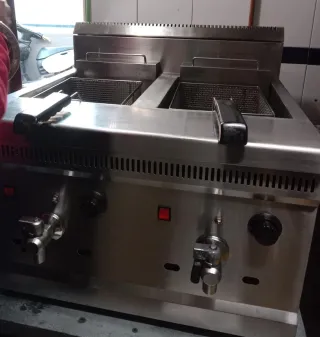 Freidora de gas profesional