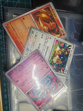 Carta Pokémon Charmander, Eevee, Sylveon