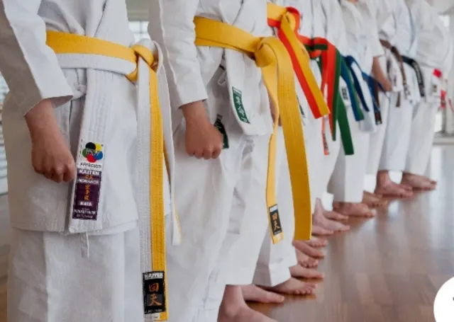 Cinturones Karate/Judo Artes Marciales