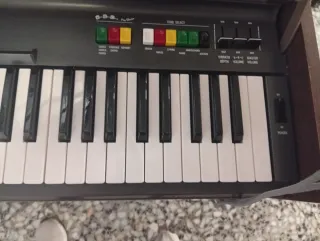 Órgano Yamaha CN 70