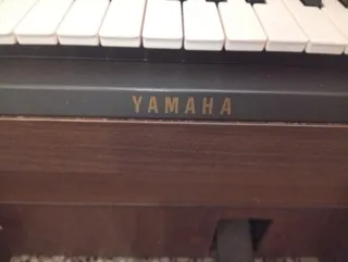 Órgano Yamaha CN 70