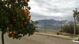 PARCELA EN URBANIZACION ALTOS DEL PUENTE NUEVO