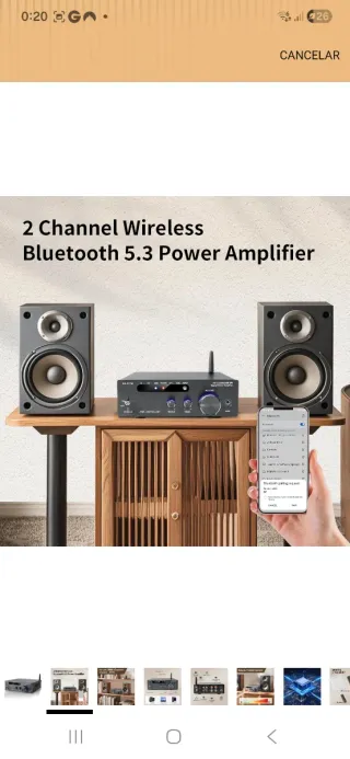 Amplificador AK-3116 Clase D Nuevo