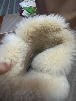 Stivali UGG Australia marroni