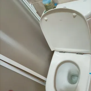 Saneamientos baño color beige