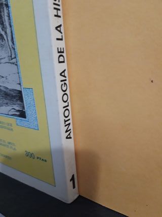 ANTOLOGÍA DE LA HISTORIETA SADOMASOQUISTA. ADULTOS