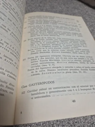 Para malaga Clasificación de los animales vegetale