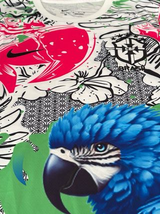 Camiseta Nike Brasil Concept