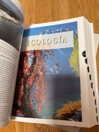 Enciclopedia Temática Espasa Siglo XXI