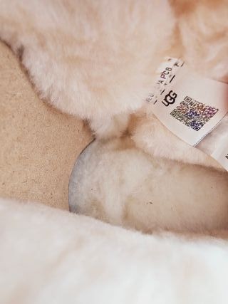 Botas UGG Plataforma. Nuevas