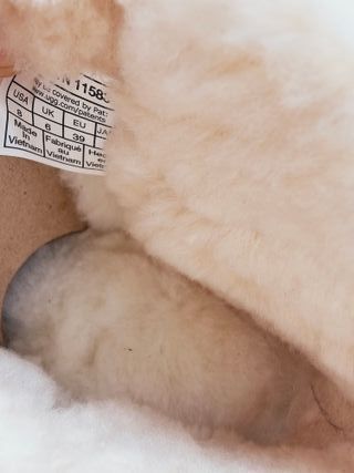 Botas UGG Plataforma. Nuevas