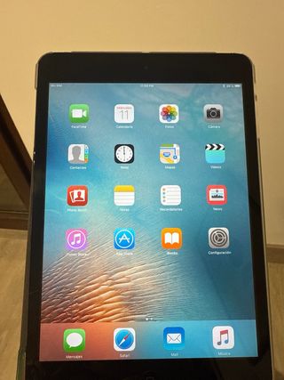 Apple iPad mini con caja
