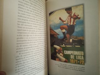 Los niños de los chiripitiflauticos libro