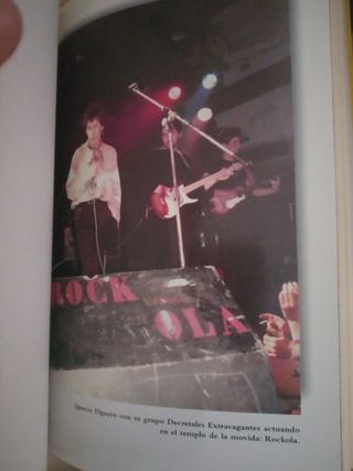 Los niños de los chiripitiflauticos libro