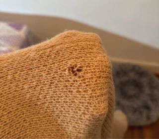 Jersey de gato beige