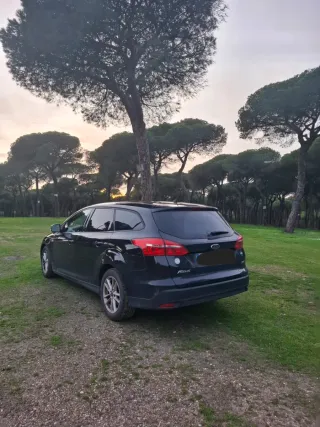 ford focus familiar 2015