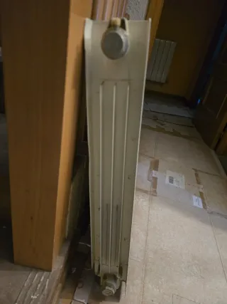 Radiador agua 10 cuerpos blanco